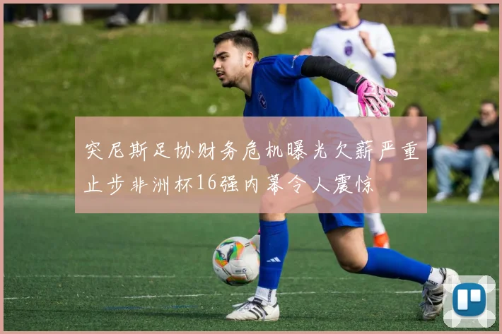 突尼斯足协财务危机曝光欠薪严重止步非洲杯16强内幕令人震惊