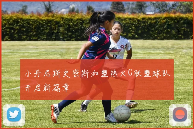 小丹尼斯史密斯加盟热火G联盟球队开启新篇章